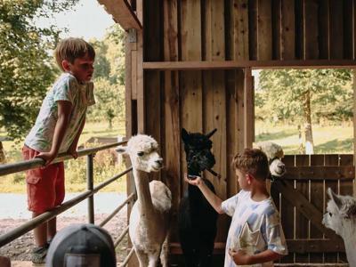 Thumbnail 4 van BoerenBed Fermette des Trois Tilleuls