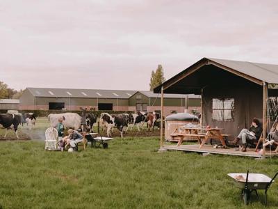 Thumbnail 4 van Boerenbed De Oude Melkstal