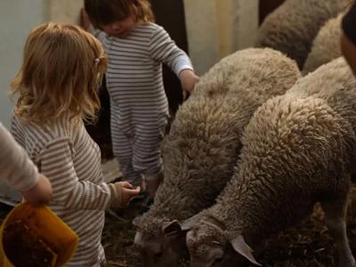 Thumbnail 4 van Boerenbed Het Keelven