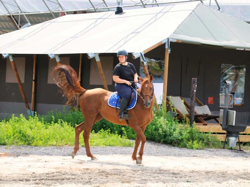 Foto van BoerenBed Écuries de Gapennes