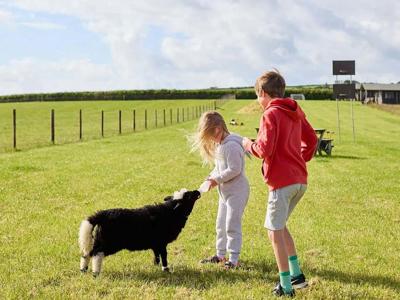 Thumbnail 3 van BoerenBed Gwel Teg Farm