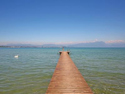 Thumbnail 4 van Tiglio