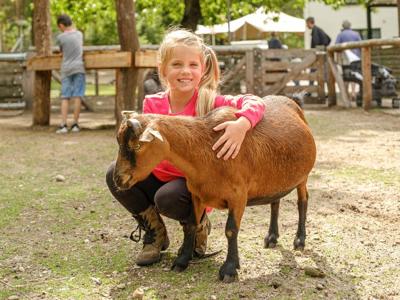 Thumbnail 5 van Landal Coldenhove