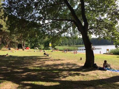 Thumbnail 2 van Am Blanksee