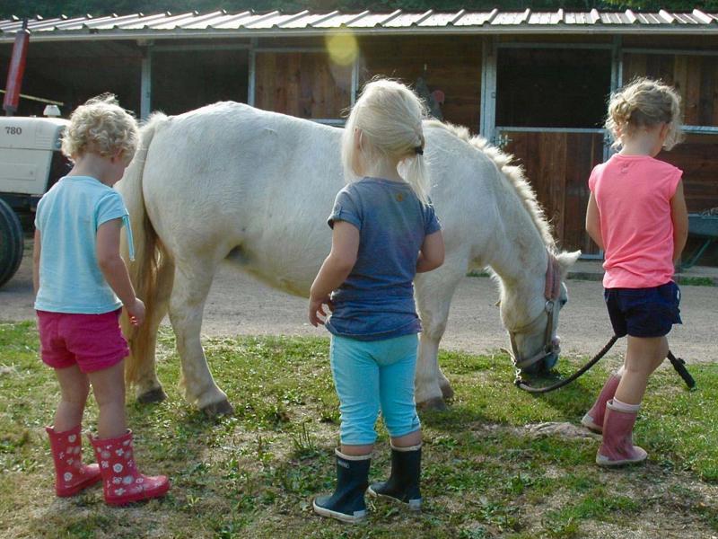 Foto van Morvan Rustique