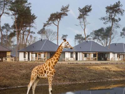 Thumbnail 5 van Beekse Bergen