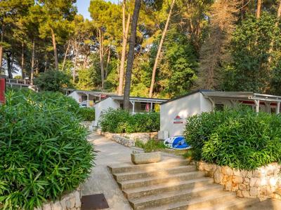 Thumbnail 5 van Bijar