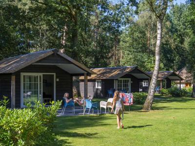 Thumbnail 2 van Molecaten Park De Leemkule