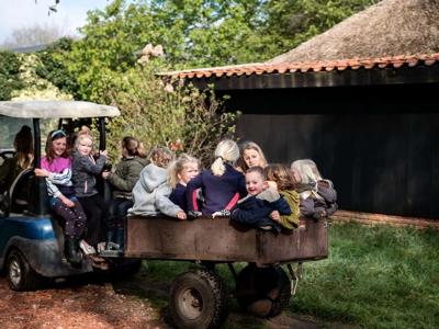 Thumbnail 5 van BoerenBed De Lange Weide