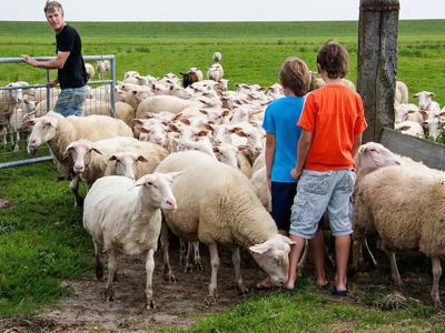 Thumbnail 5 van BoerenBed De Zeekraal