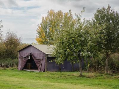 Thumbnail 2 van BoerenBed Hollings Hill Farm