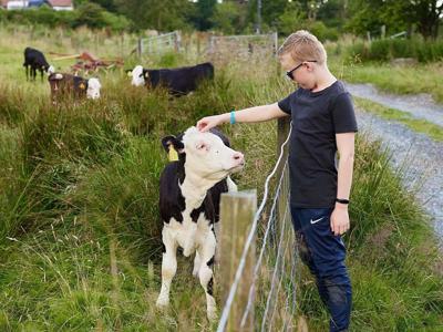 Thumbnail 3 van BoerenBed Pant y March Farm