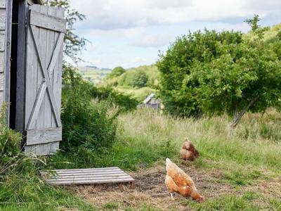 Thumbnail 5 van BoerenBed Pant y March Farm