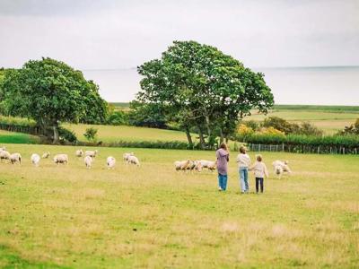 Thumbnail 2 van BoerenBed Lunsford Farm