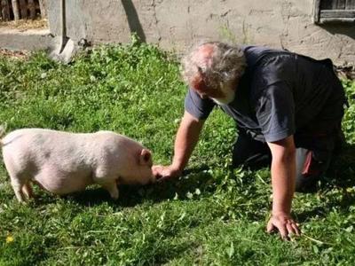 Thumbnail 4 van BoerenBed Hohenwarter Seehof