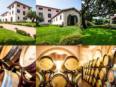 Thumbnail 4 van Tenuta Poggio Rosso