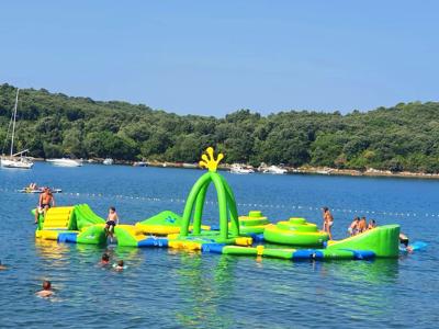 Thumbnail 5 van Val Saline