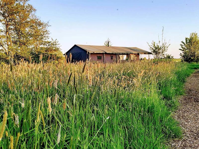 Hoofdfoto van BoerenBed TaarTenTuin