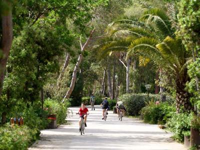 Thumbnail 3 van Campo Dei Fiori