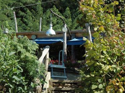 Thumbnail 4 van Gli Asini Felici