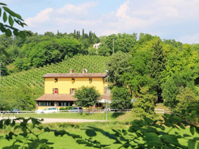 Thumbnail 3 van Agriturismo Le Sorgive e Le Volpi