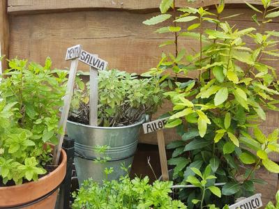 Thumbnail 5 van Rocca Di Sotto