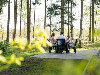 Thumbnail 2 van Hoenderloo