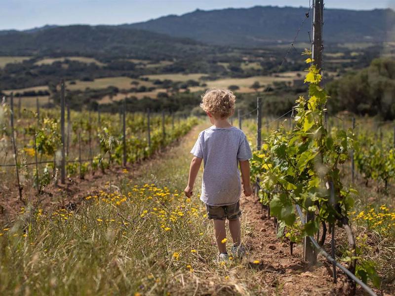 Foto van BoerenBed Figari