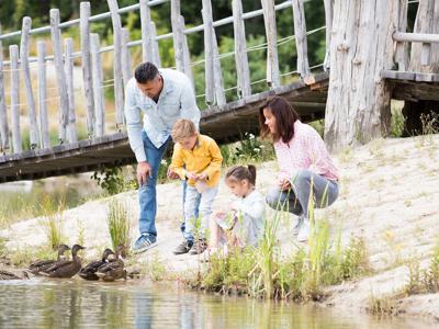 Thumbnail 4 van Vakantiepark Loonsche Land