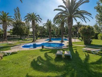 Thumbnail 4 van El Delfín Verde Playa de Aro