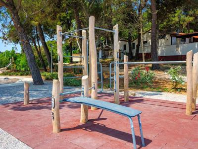 Thumbnail 4 van Arena Stupice