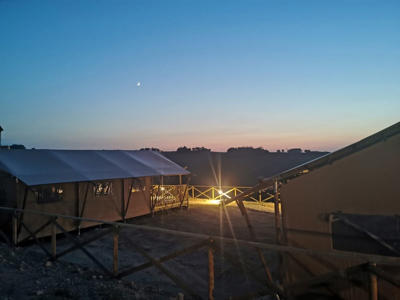 Thumbnail 5 van La Viola e il Sole