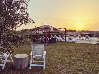 Thumbnail 3 van La Viola e il Sole