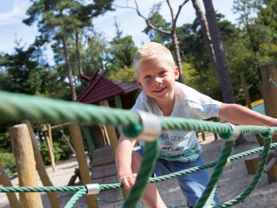 Thumbnail 2 van Torentjeshoek