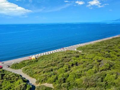 Thumbnail 2 van Il Club degli Amici