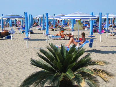 Thumbnail 4 van Oasi