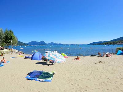 Thumbnail 2 van Orchidea