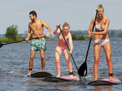 Thumbnail 3 van De Meeuw