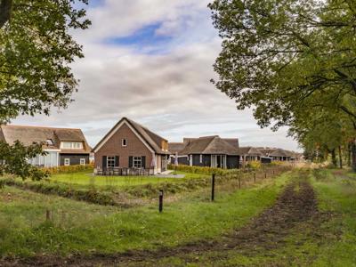 Thumbnail 3 van De Heihorsten