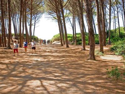 Thumbnail 5 van Mareblu