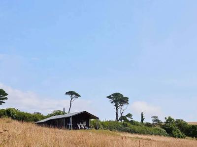 Thumbnail 4 van BoerenBed Fountain Violet Farm