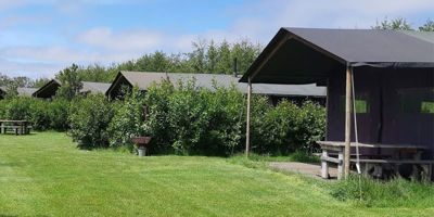 Kamperen bij de Boer