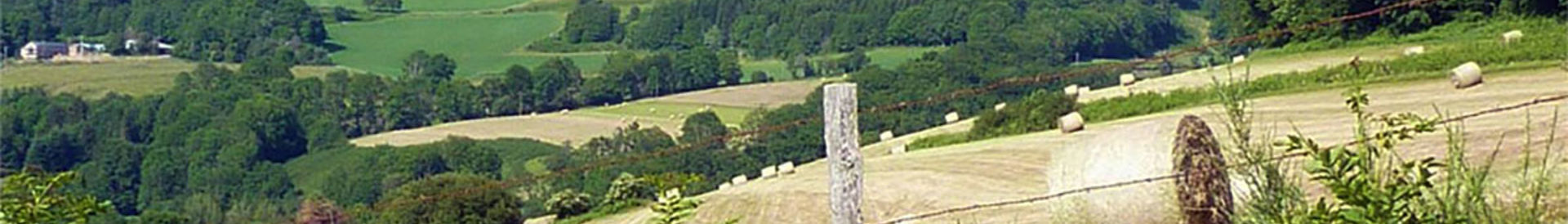 Kleine Groene Campings in Frankrijk