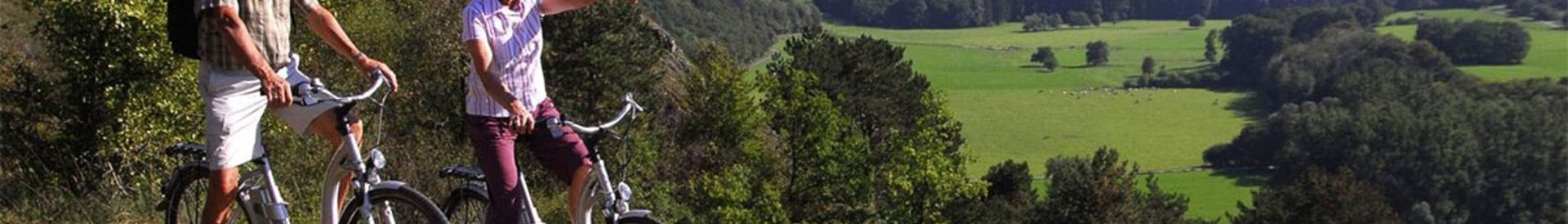 Top 10 bosrijke omgeving