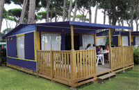 De Safari/Lodgetent van Go4Camp De Safari/Lodgetent van Go4Camp